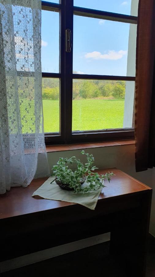 Holensky Dvur Hotel Ratibor  Buitenkant foto